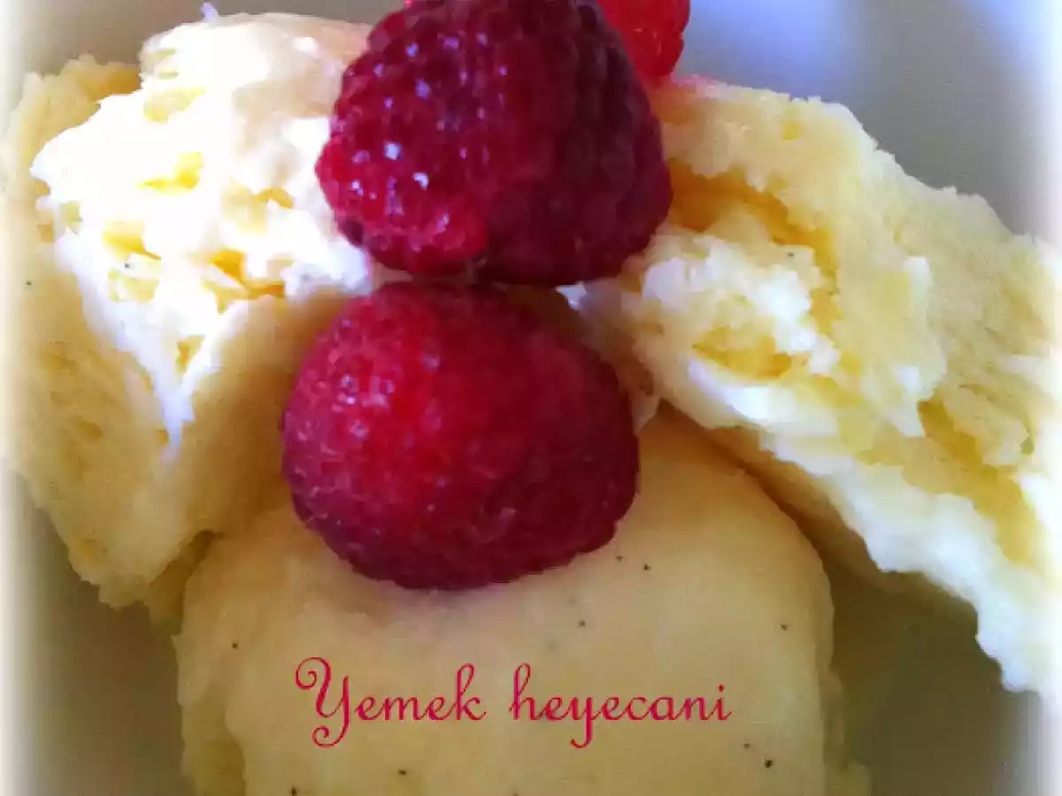 Ev yapımı vanilya dondurması