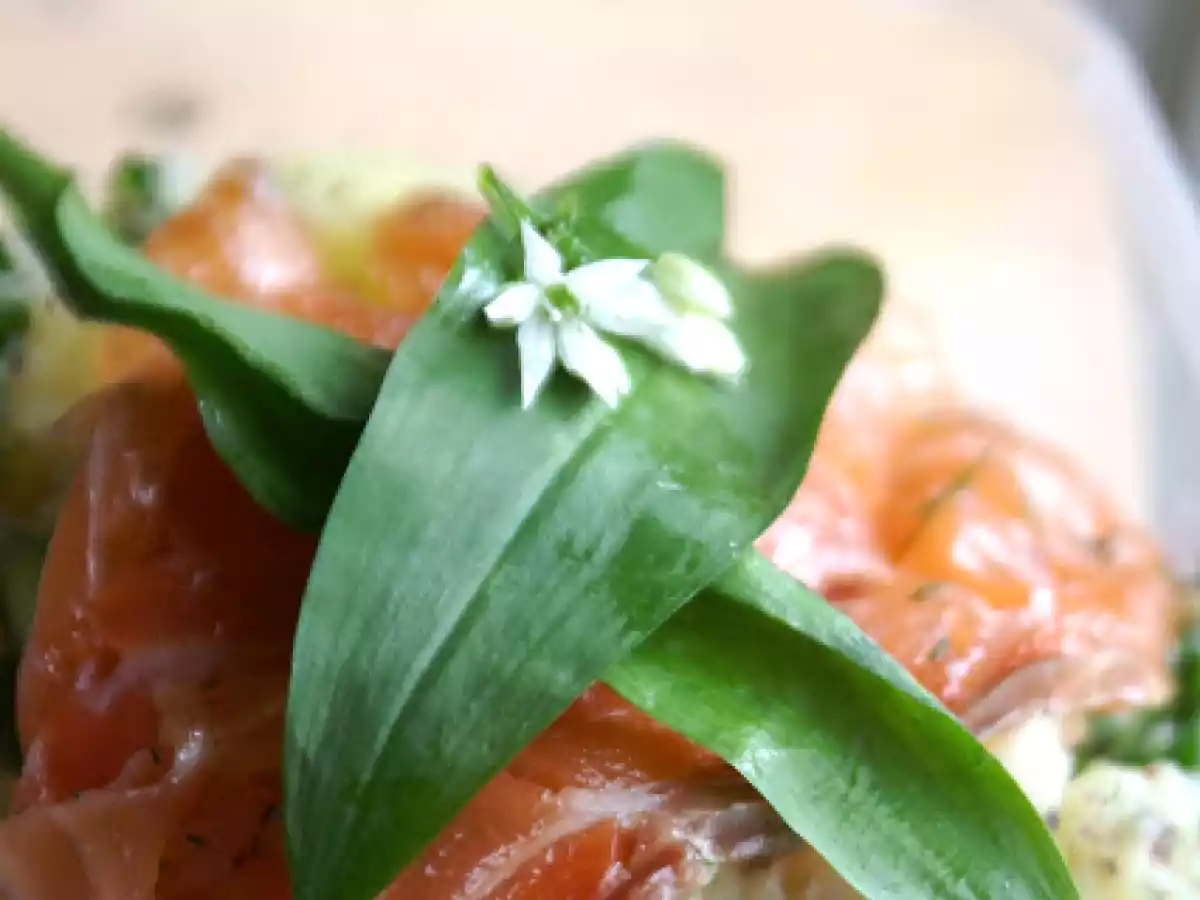 Ilkbahar'da Cherbourg Pazari ve sumakli gravlax yapimi - fotoğraf 2