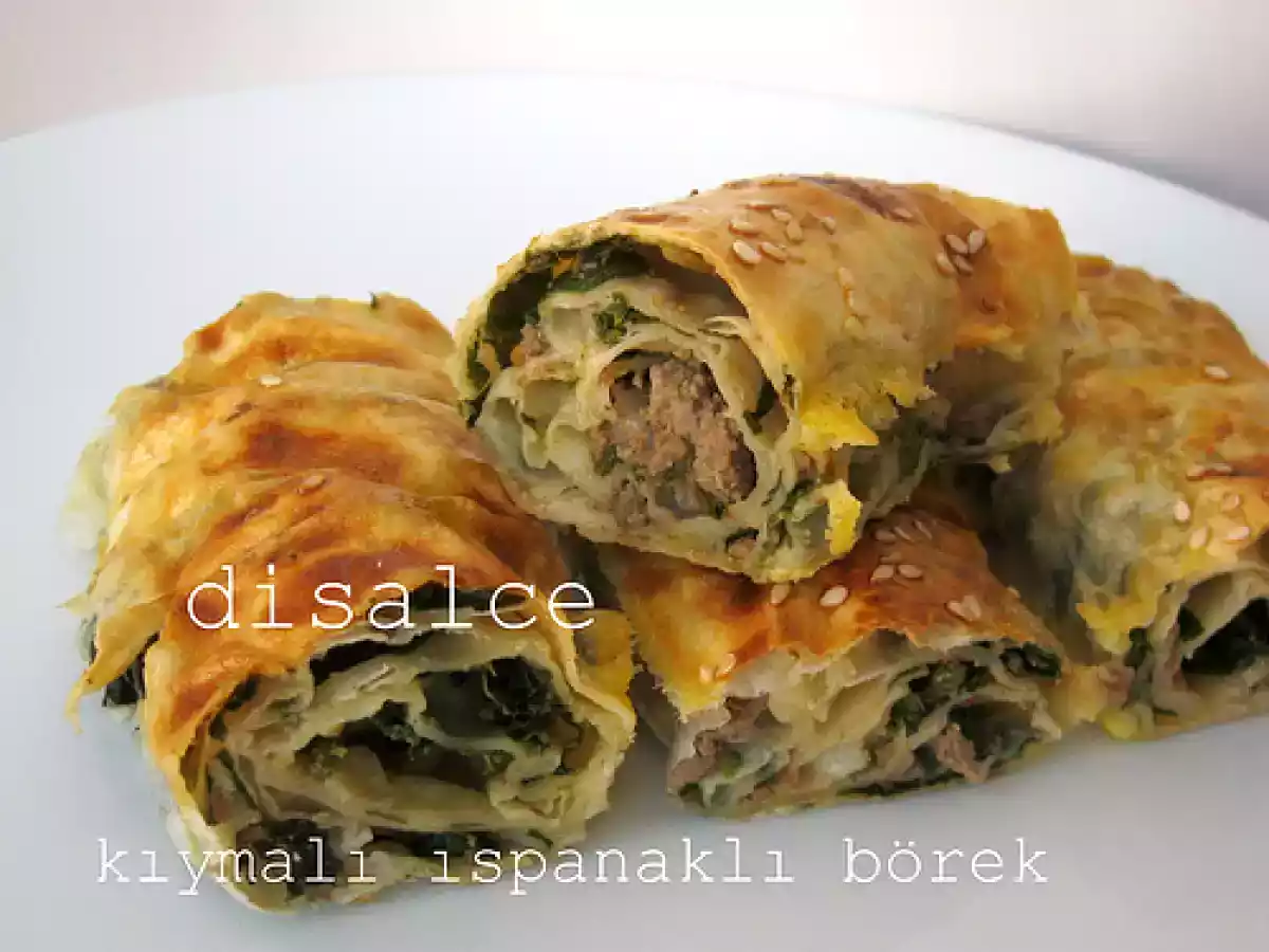 ISPANAKLI KIYMALI KOL BÖREĞİ