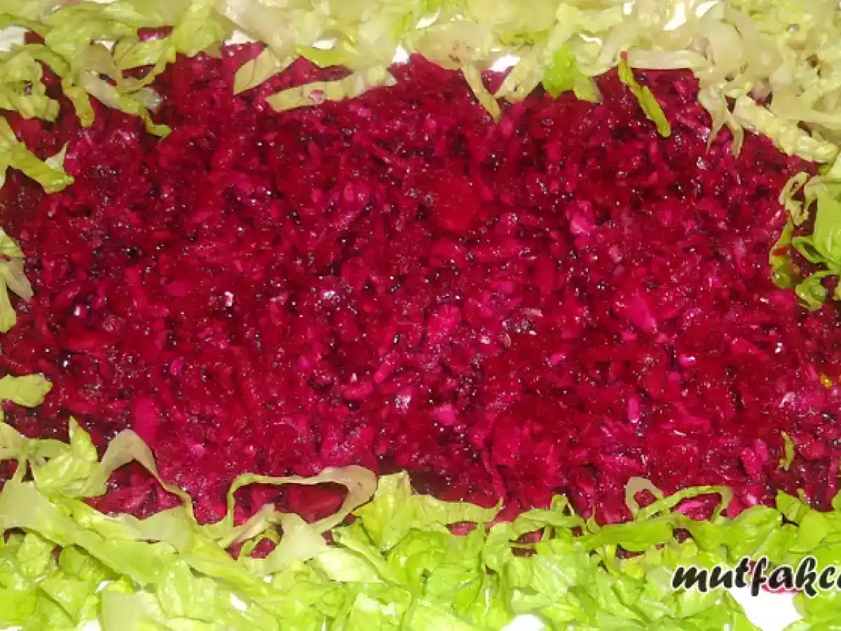 KIRMIZI LAHANA SALATASI (2)