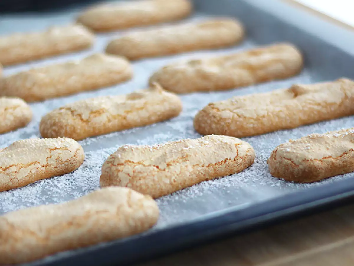Kolay glutensiz sünger bisküvi