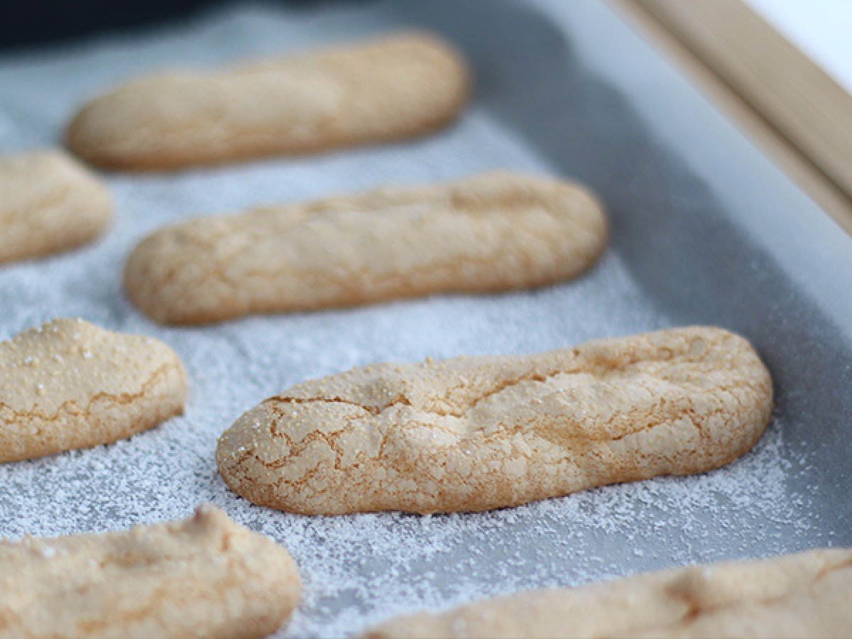 Kolay glutensiz sünger bisküvi - fotoğraf 3