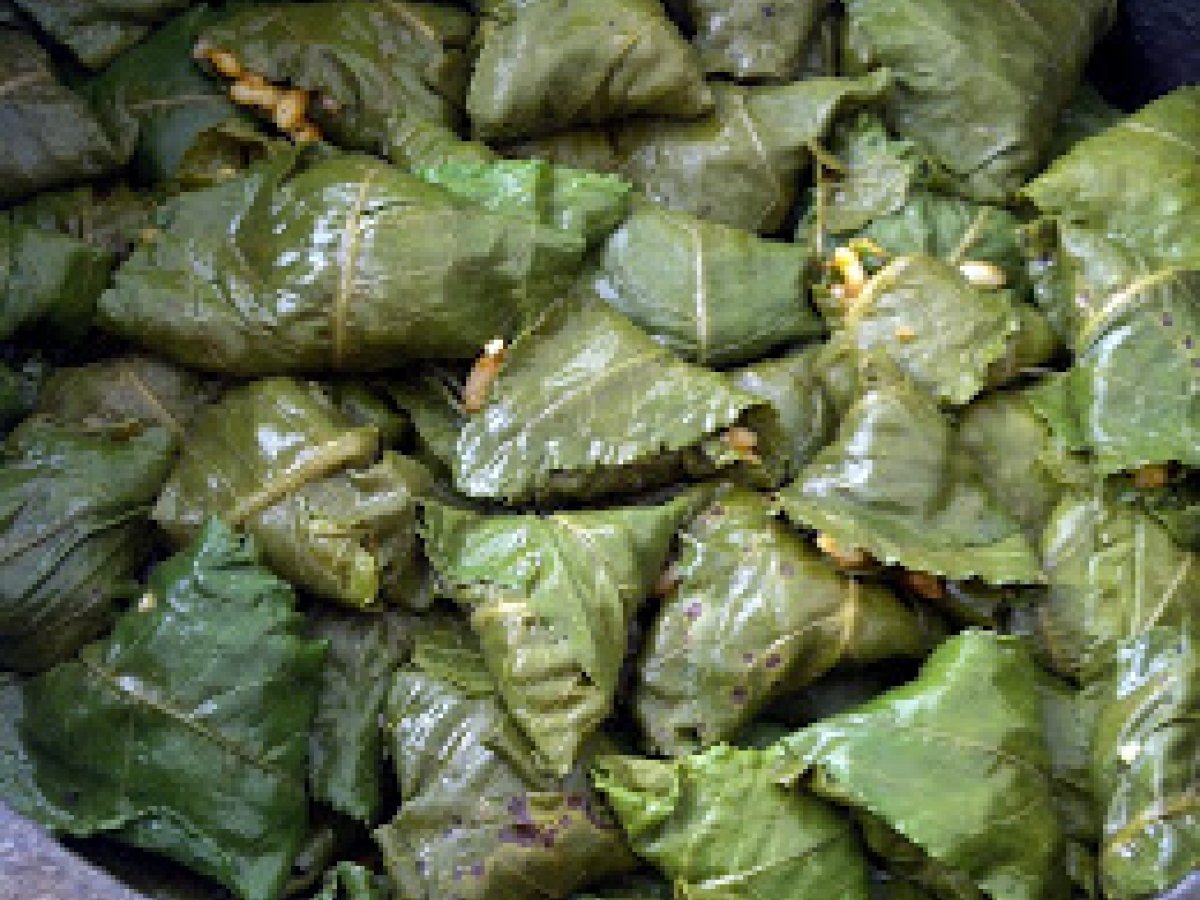 LABADA SARMA