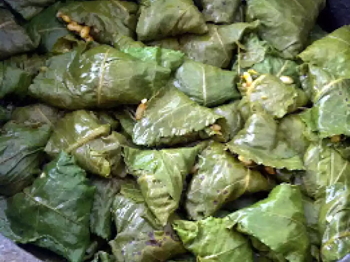 LABADA SARMA