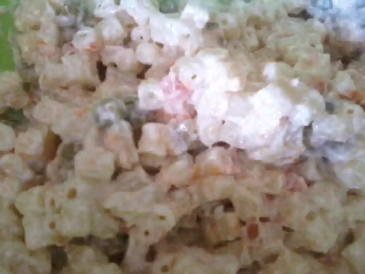 MAKARNA SALATASI