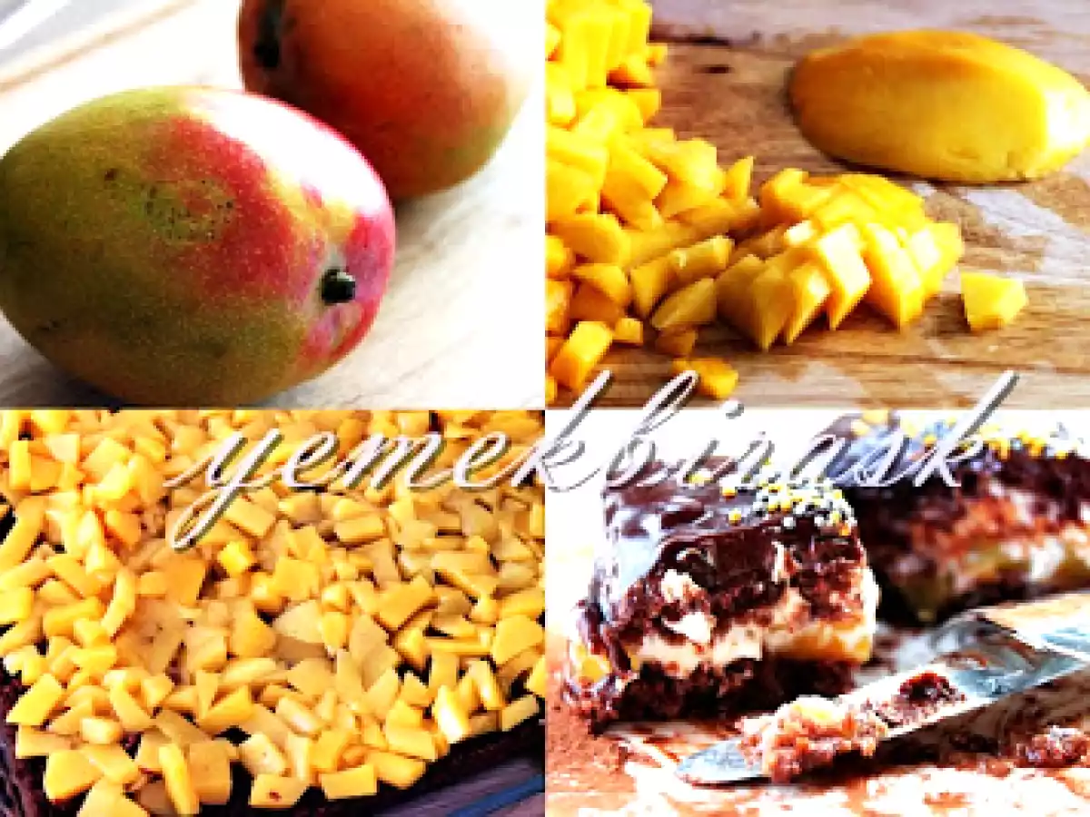 Mangolu Çikolatalı Pasta - fotoğraf 3