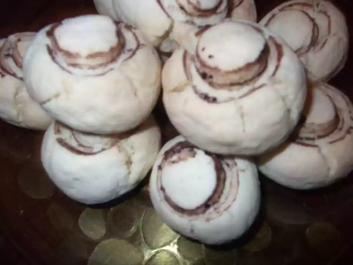 Mantar kurabiye