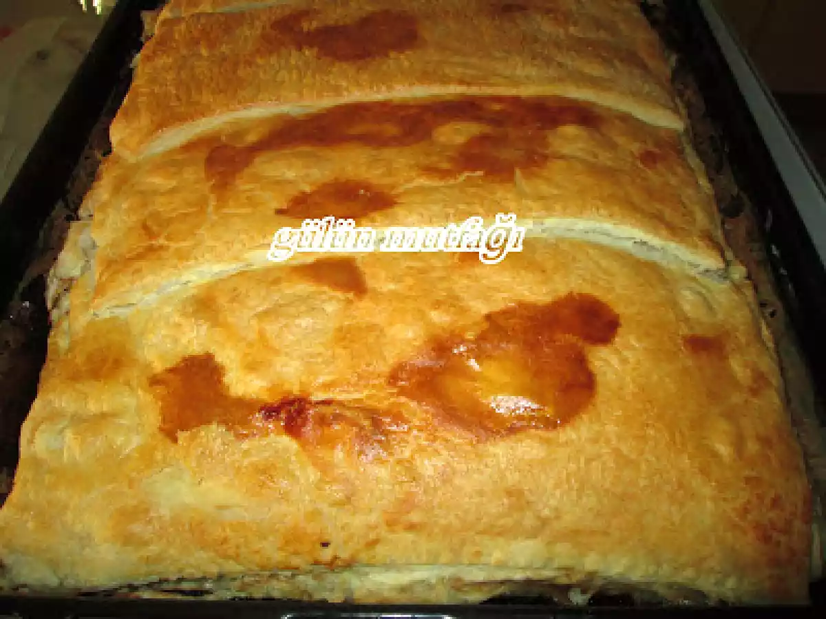 MİLFÖYLÜ İKİ AYRI İÇLE BÖREK