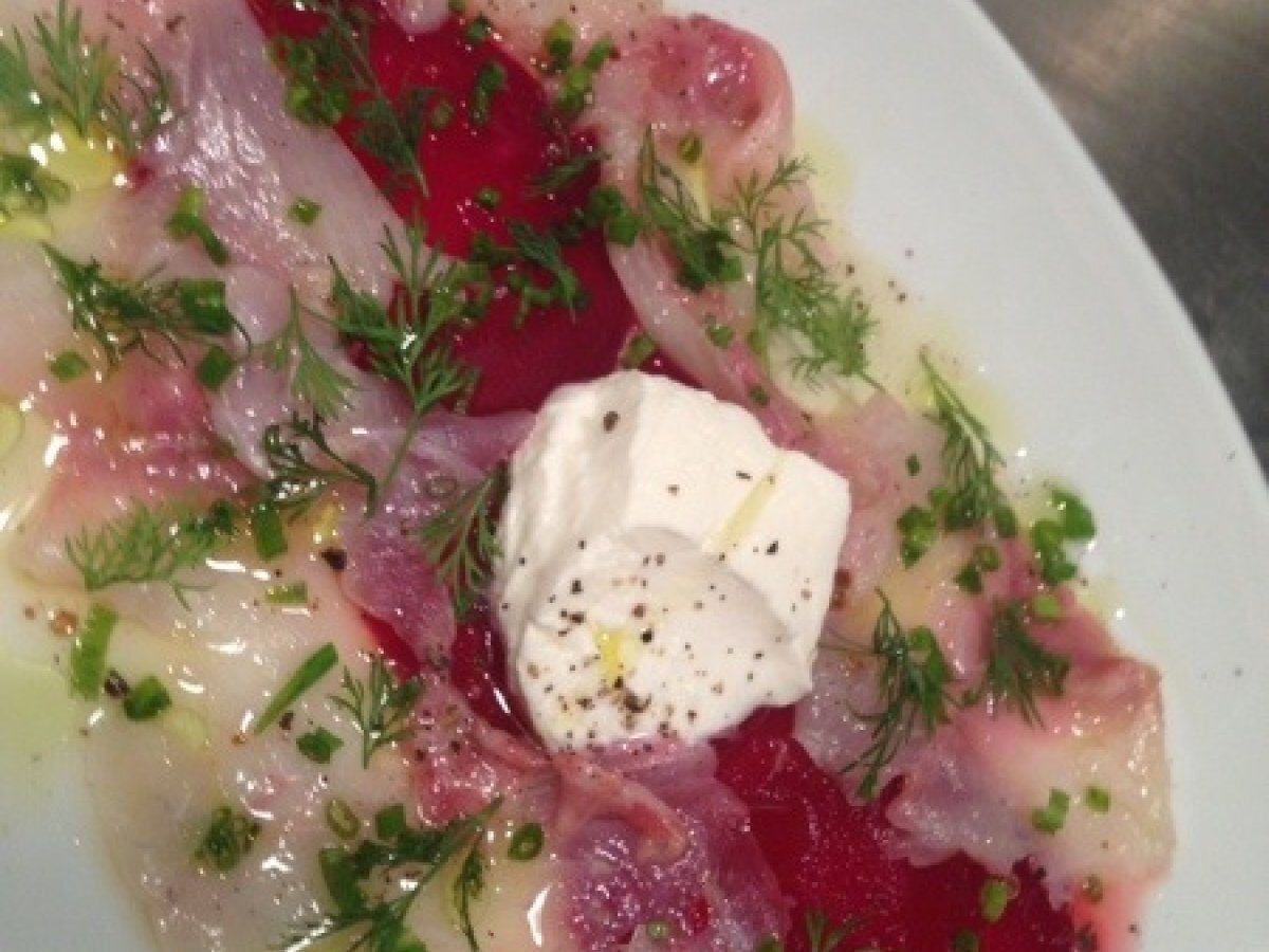 Pancarlı çipura ceviche