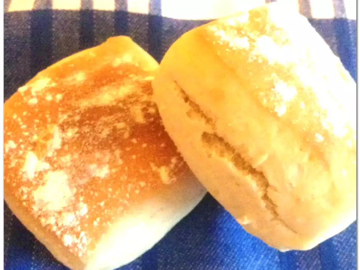 Panini