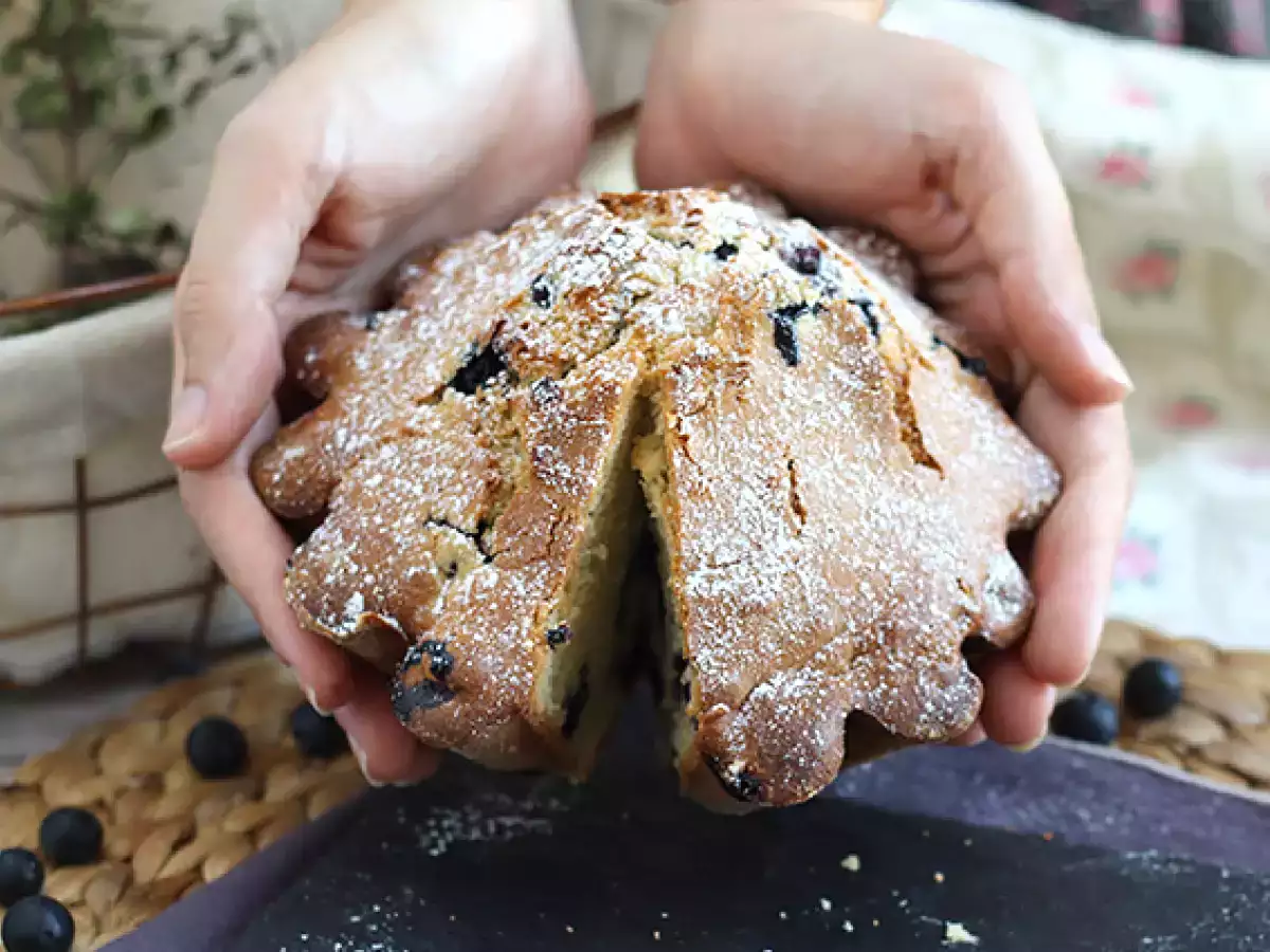 Pirene yaban mersinli turtası - fotoğraf 3