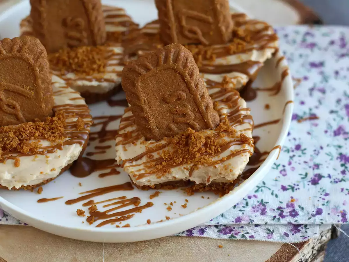 Pişmeyen Spekülo Bisküvili Cheesecake'ler - fotoğraf 2