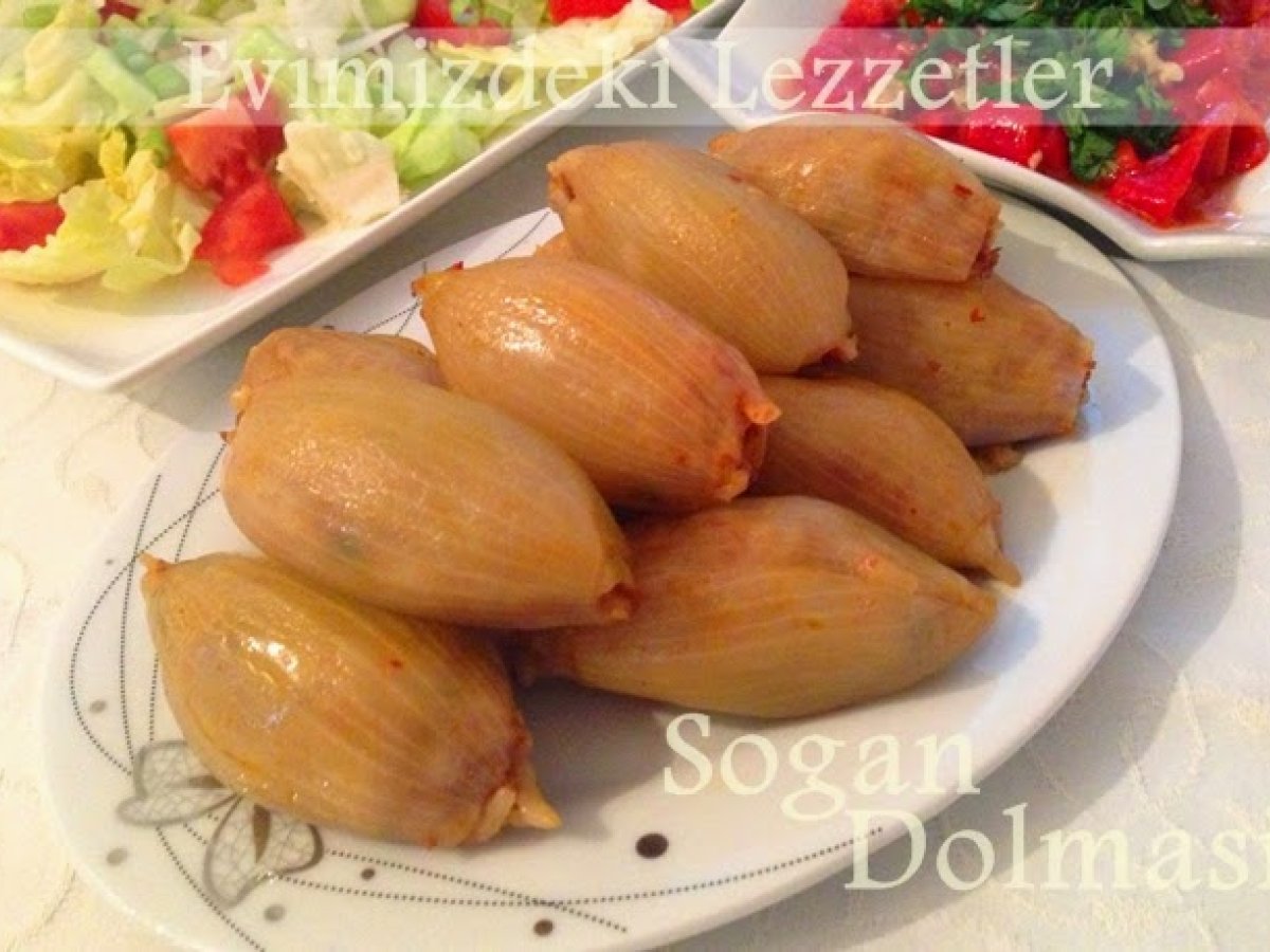 Sogan Dolmasi