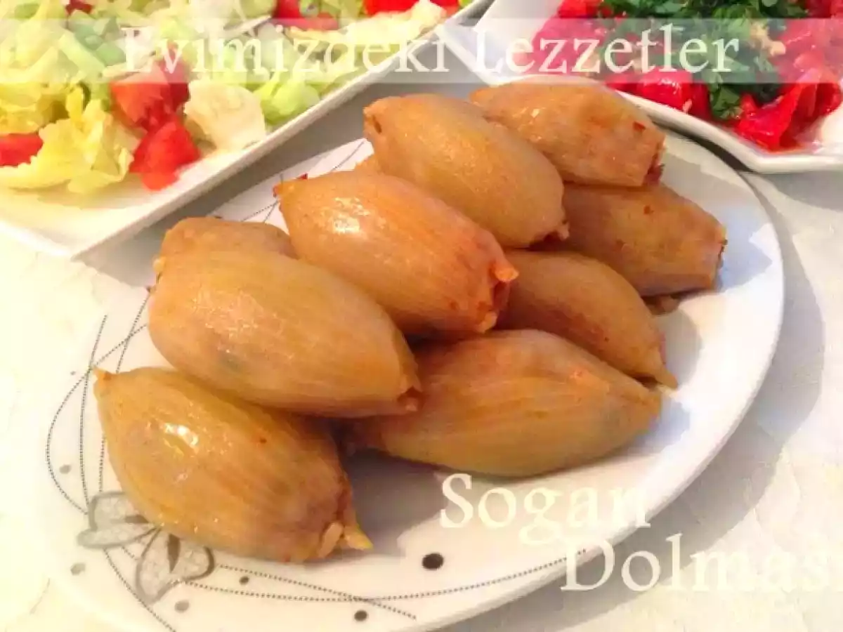 Sogan Dolmasi
