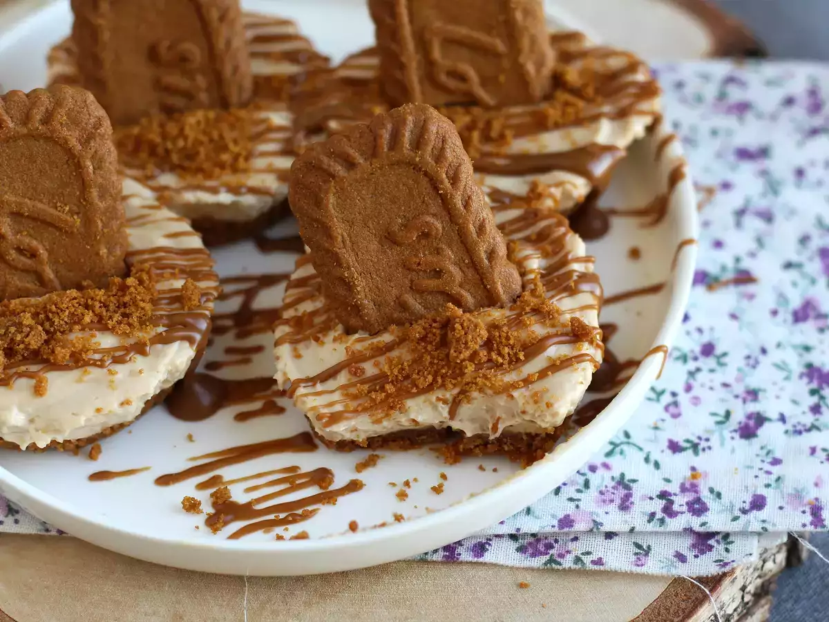 Speculoos bisküvili fırında pişmeyen cheesecake - fotoğraf 2