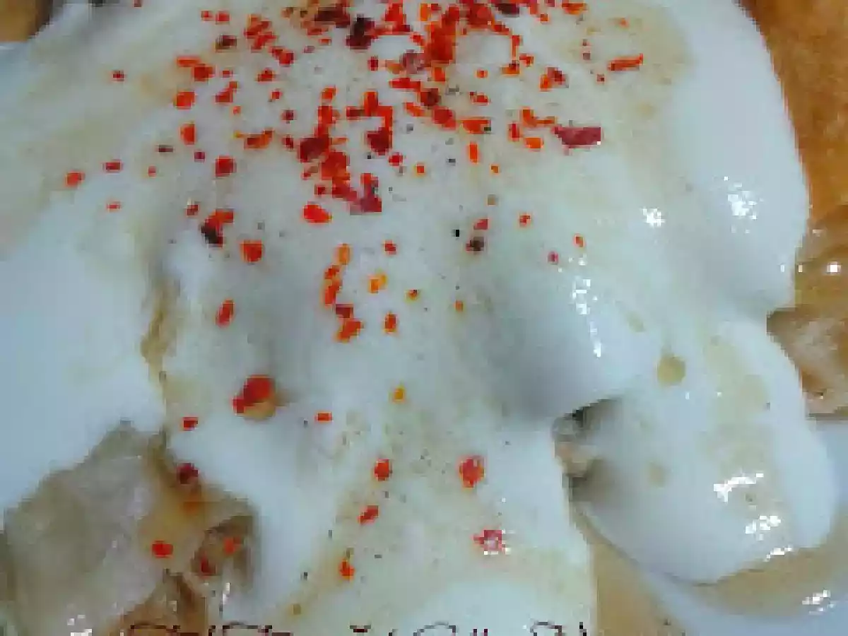 TAVUK SULU BÖREK