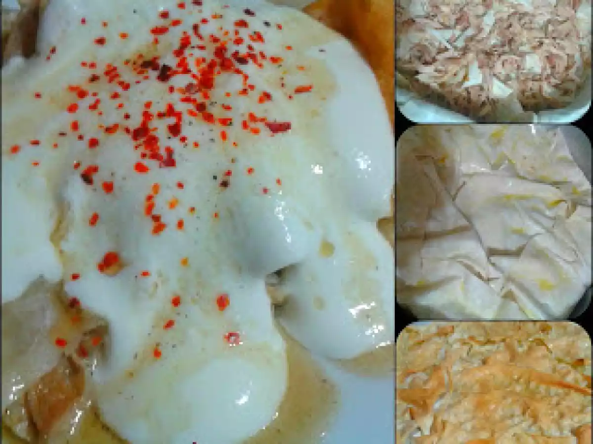 TAVUK SULU BÖREK - fotoğraf 2