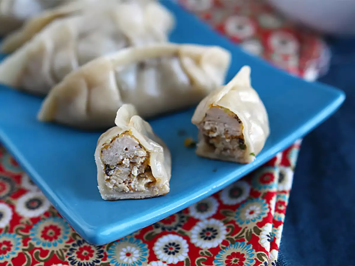 Tavuklu, Havuçlu ve Mantarlı Gyoza - fotoğraf 5