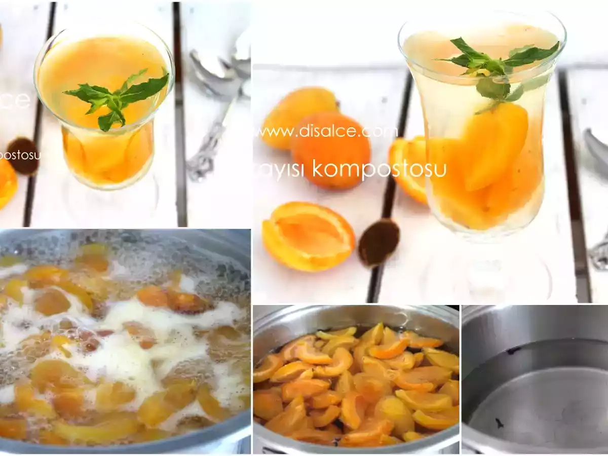 TAZE KAYISI KOMPOSTOSU - fotoğraf 3