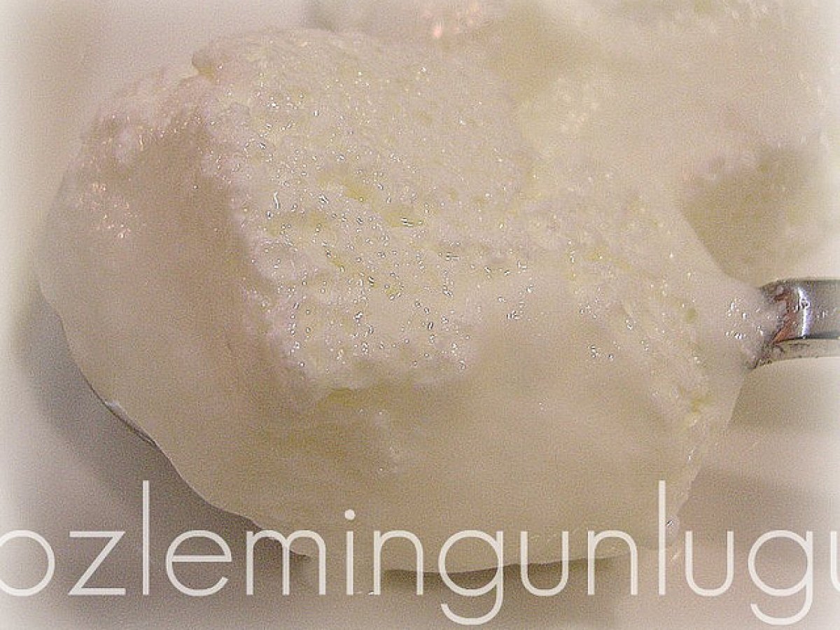 Yoğurt Deneme 1