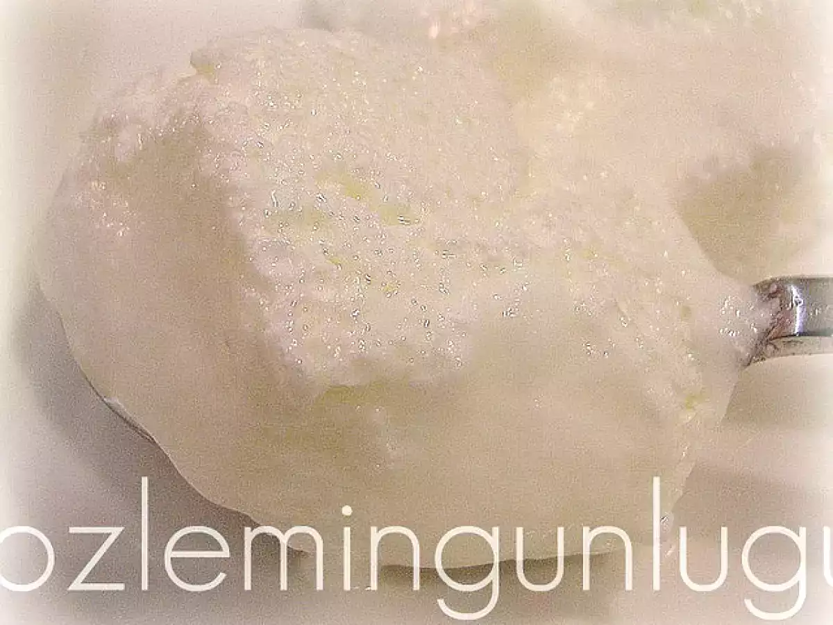 Yoğurt Deneme 1