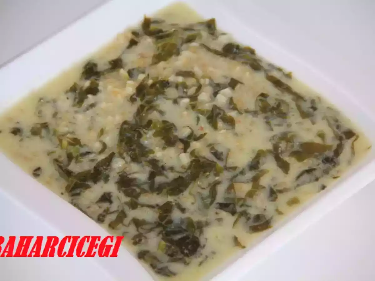 YOGURTLU BUGDAYLI PAZI CORBASI