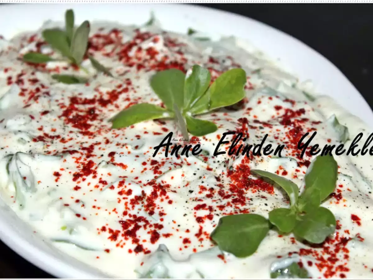 Yoğurtlu semizotu salatası